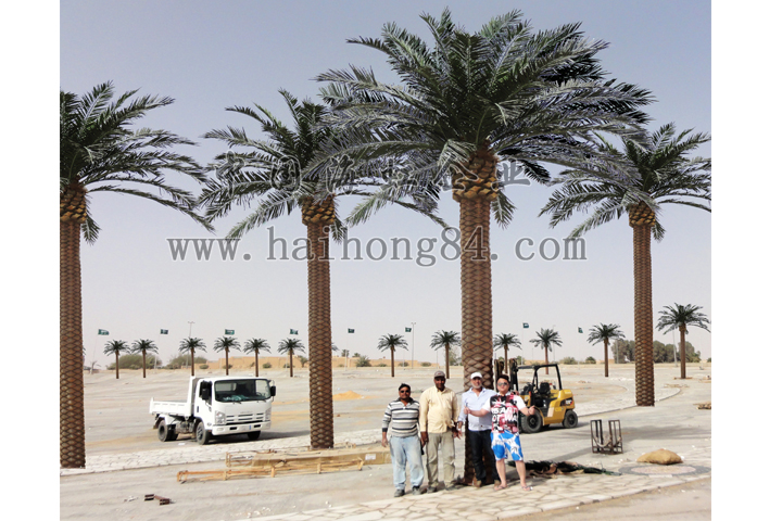 沙特阿拉伯机场仿真中东海枣树项目完工